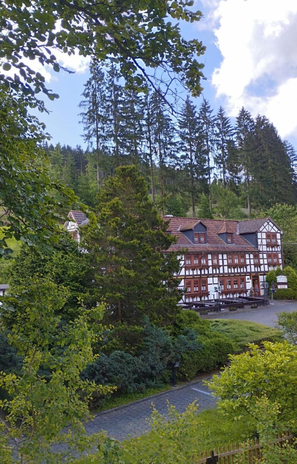 Pension Landhaus Machold Friedrichroda Exteriör bild