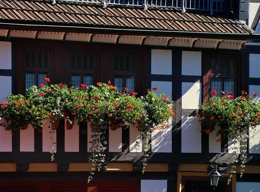 Pension Landhaus Machold Friedrichroda Exteriör bild